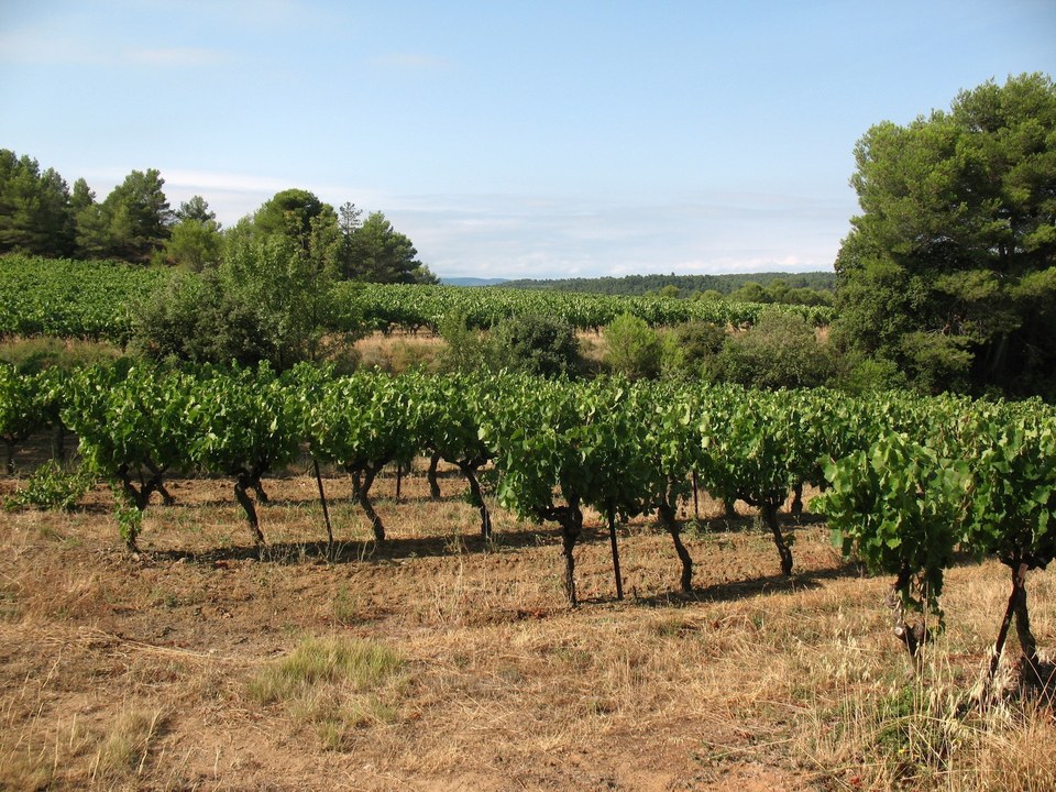 22.4-P-LAURE Mvois-Chemin de Fontanilles (1)