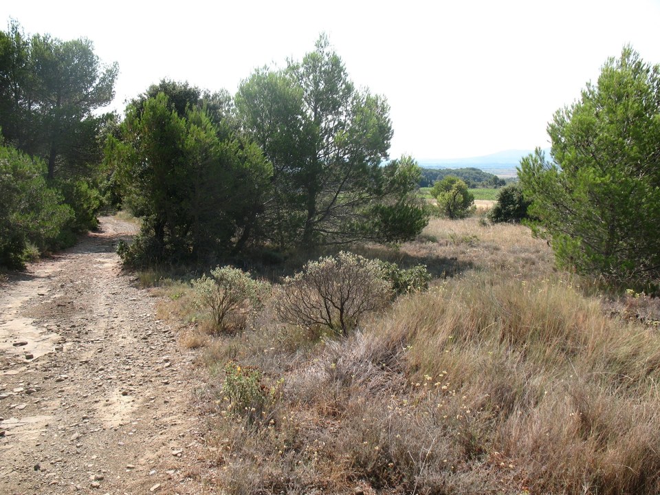 22.4-P-LAURE Mvois-Chemin de Fontanilles (2)