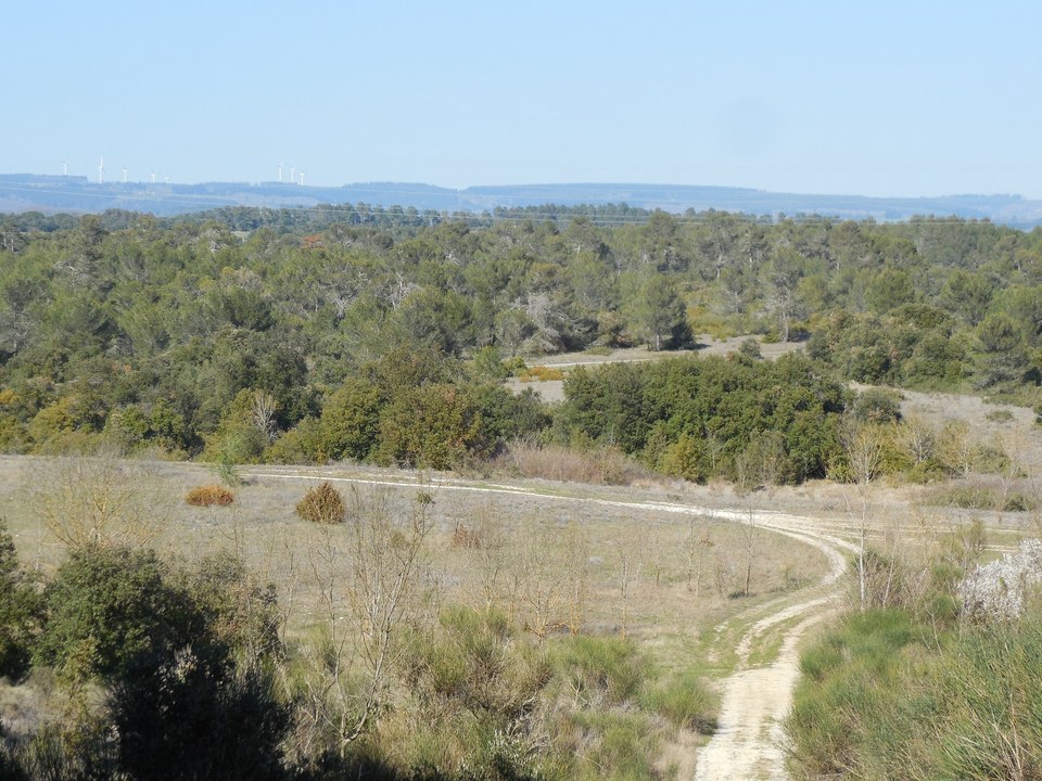 26-P-ARAGON-A travers la Garrigue-s (20)