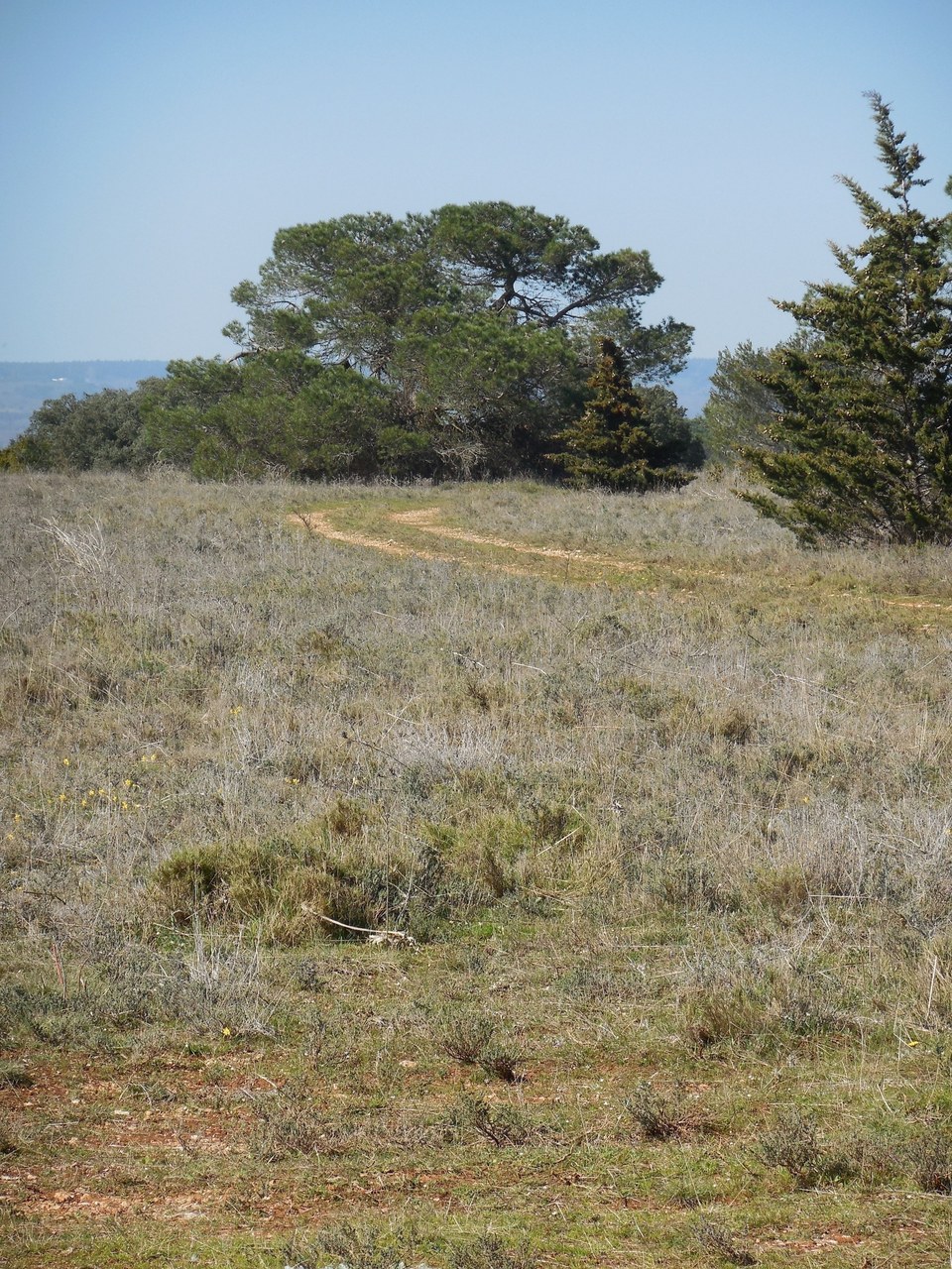 26-P-ARAGON-A travers la Garrigue-s (2)