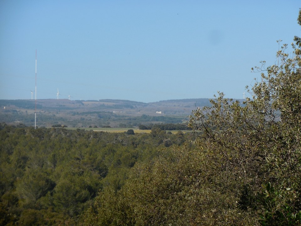 26-P-ARAGON-A travers la Garrigue-s (3)