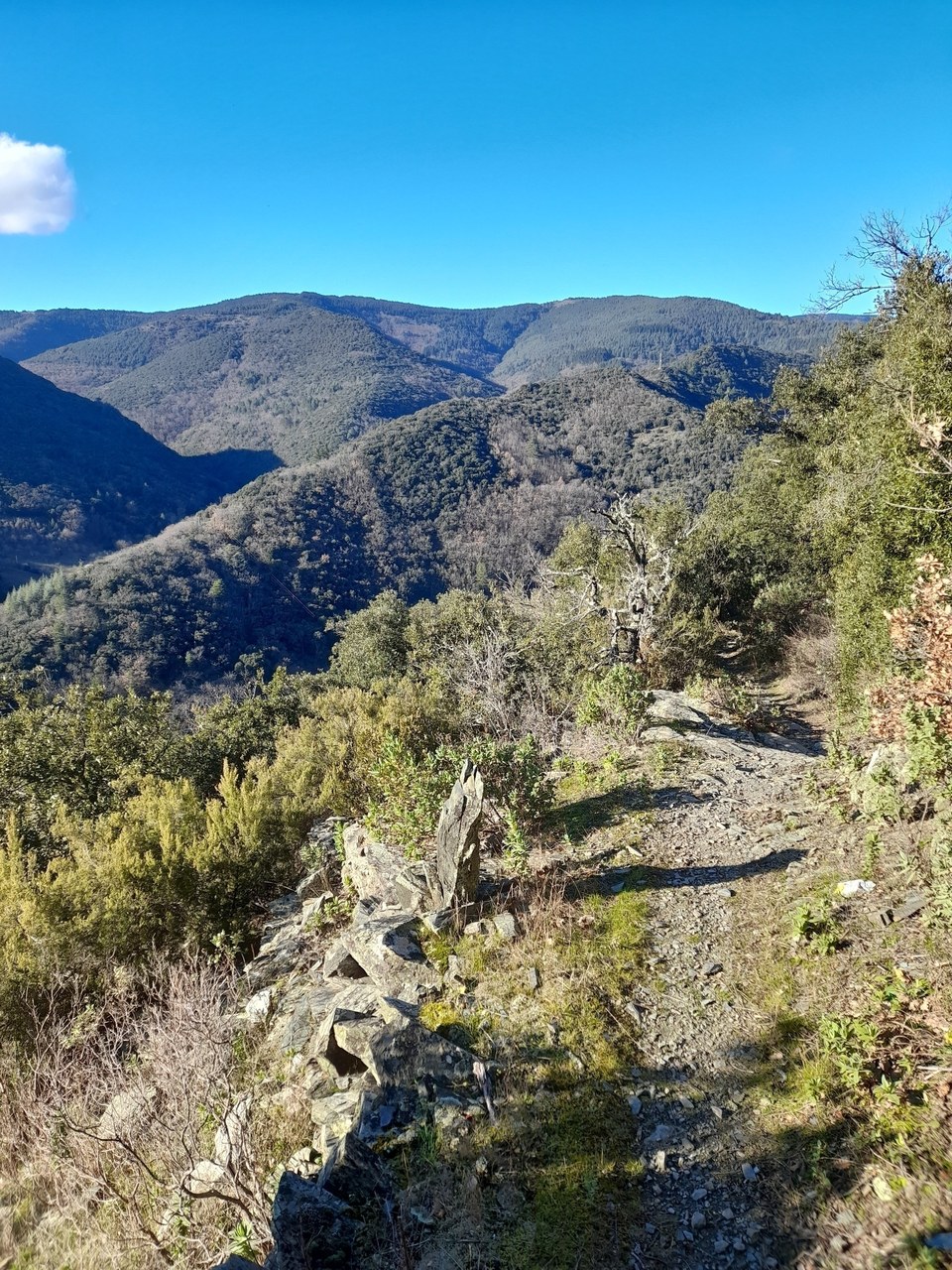 6.4-P-CITOU-Boucle de Citou-Sentier du Marbre (2)