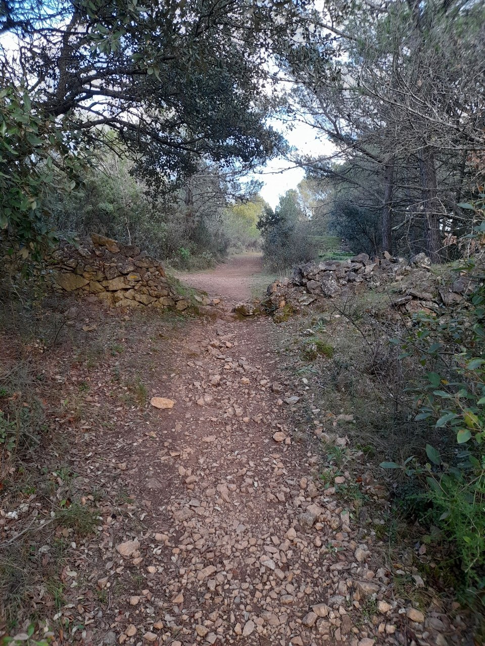 6.4-P-CITOU-Boucle de Citou-Sentier du Marbre (3)