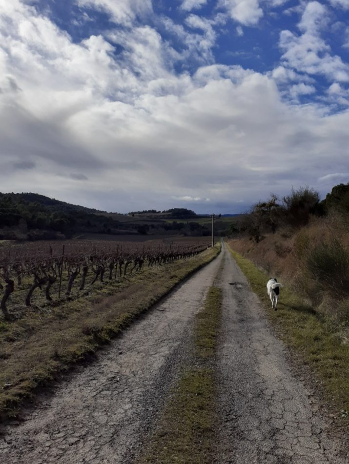 20210124_200531