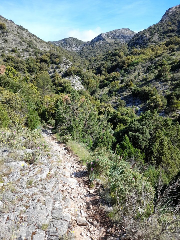 VILLENEUVE MINERVOIS-Le Sentier de la Truffe (2)