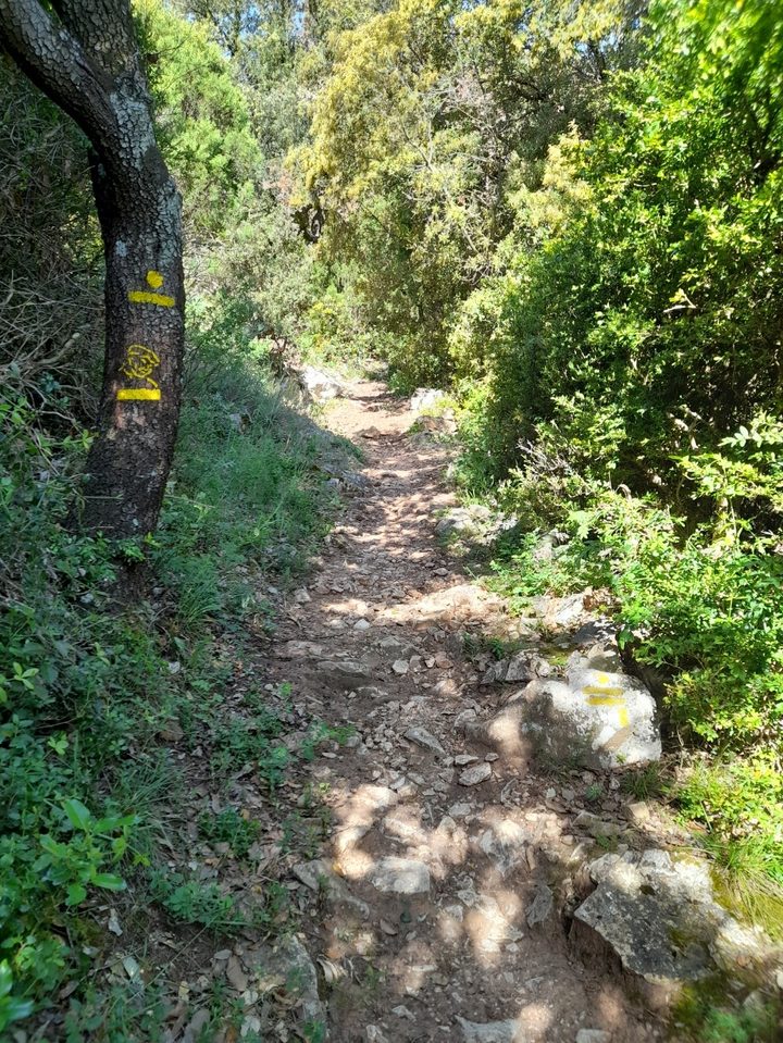 85-P-VILLENEUVE MINERVOIS-Le Sentier de la Truffe (3)