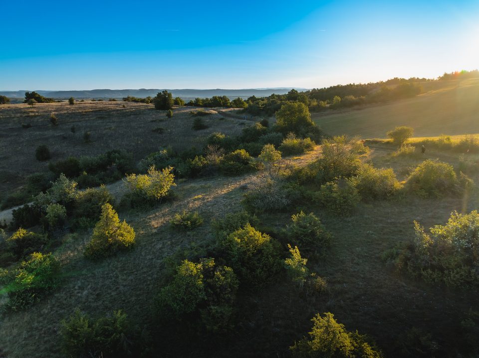 Plateau de la Loubière