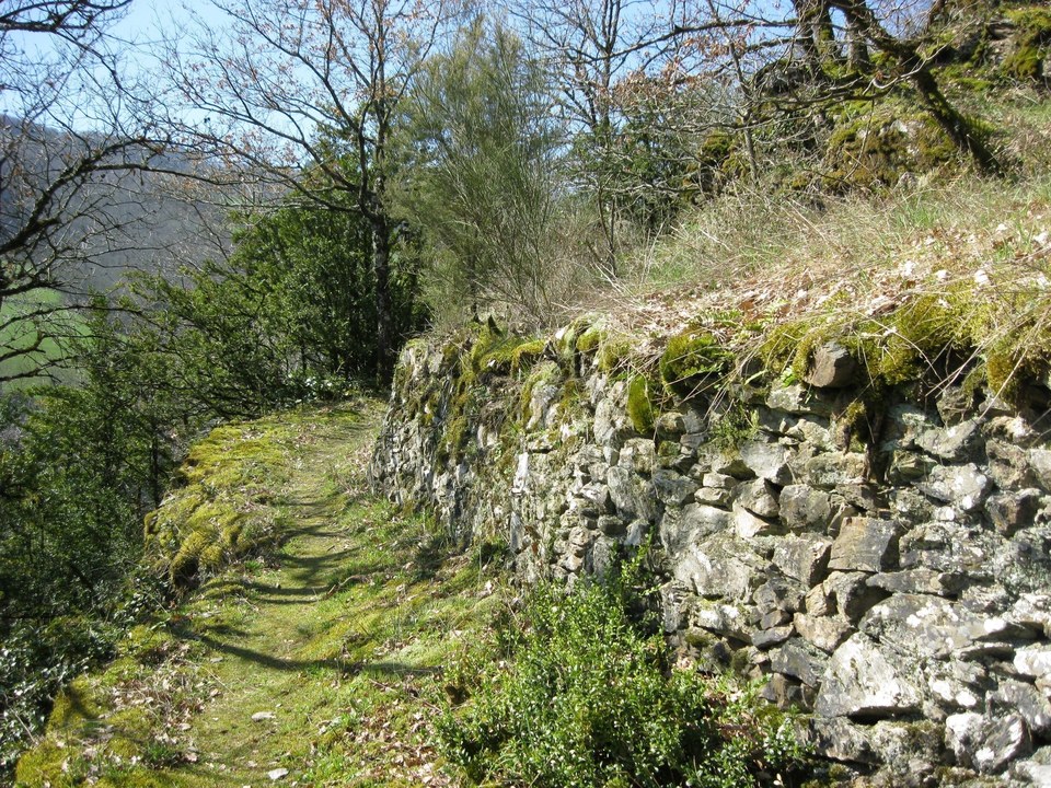 Sentier et mur en pierres sèches