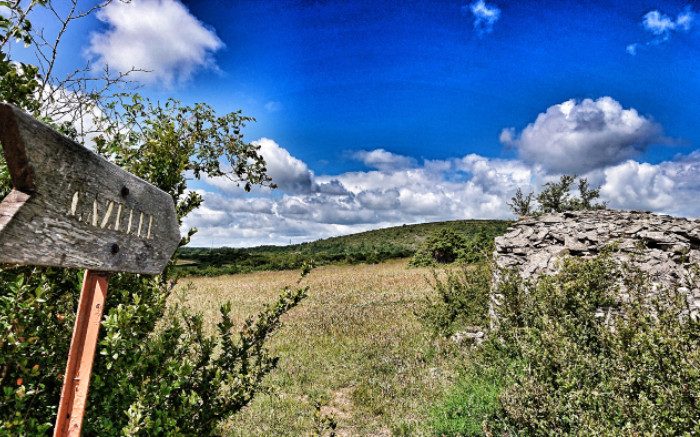 La caselle