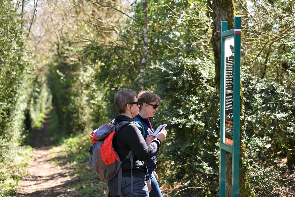 A l'entrée d'une buissière...