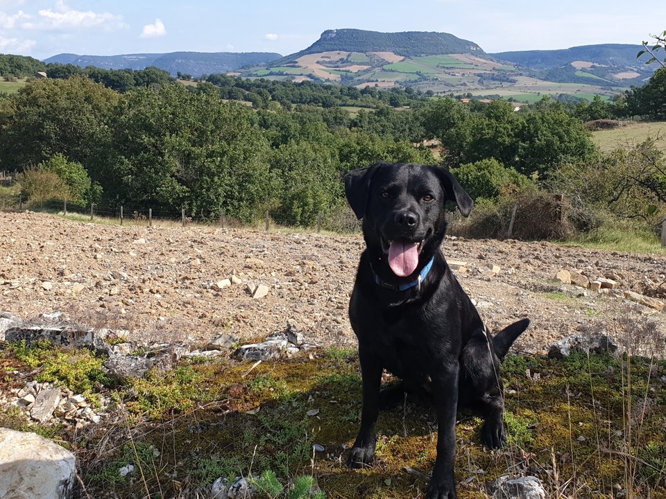 Entre Larzac et Lévézou