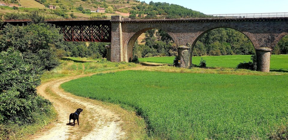 Pont à La confluence entre le Tarn et le Dourdou