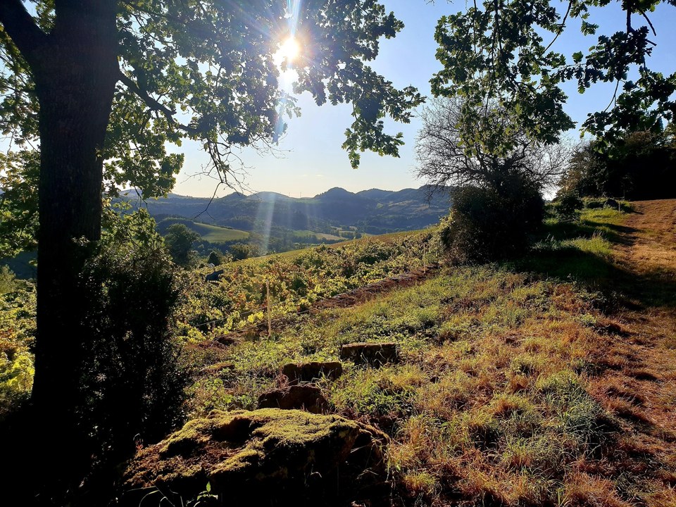 Sentier des Costes