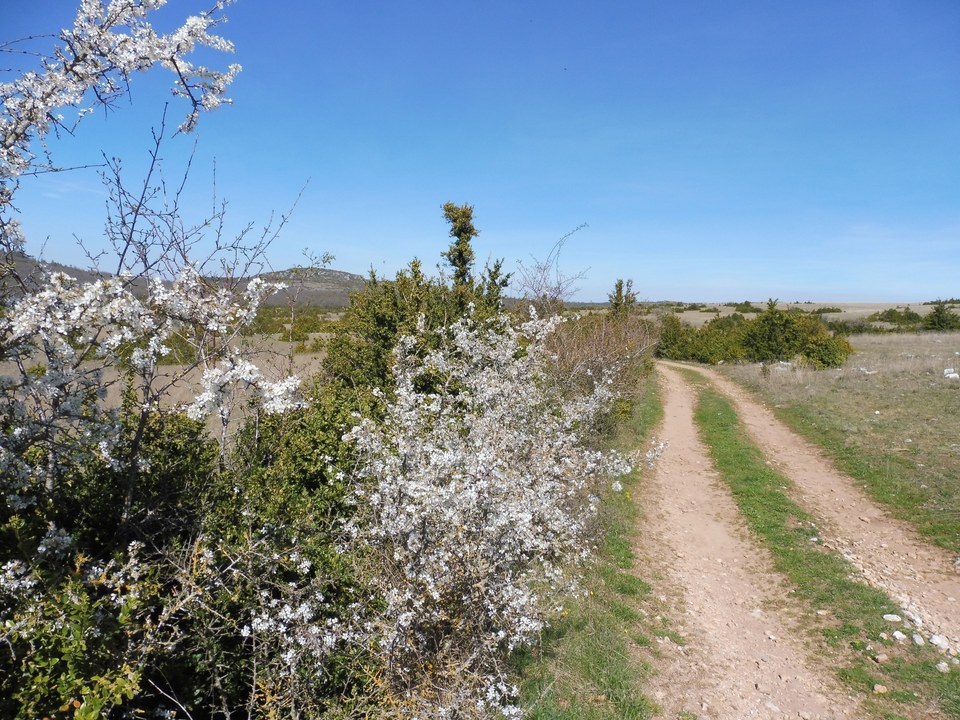Sur le chemin...