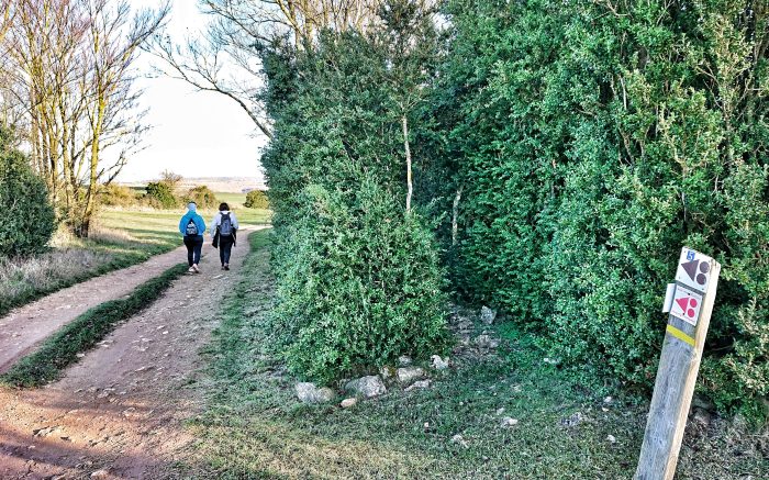 Sur le Larzac, non loin des Coulons...