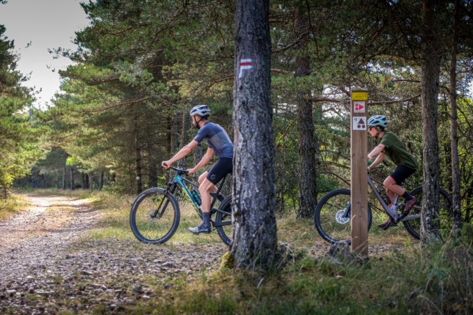 Forêt domaniale du Causse du Larzac