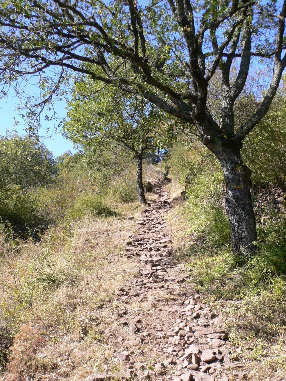 sur le sentier