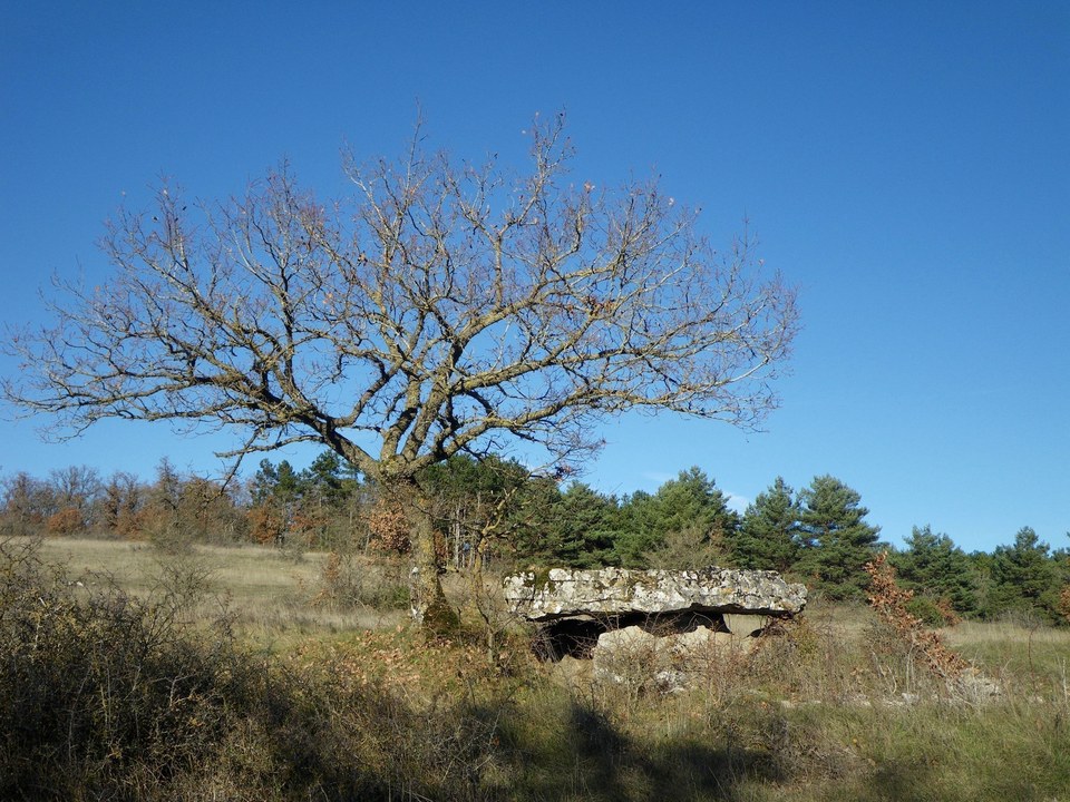 Le dolmen de la Fabière