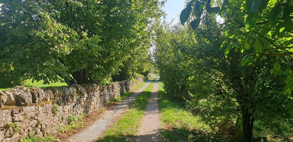 De St Félix à la Loubière