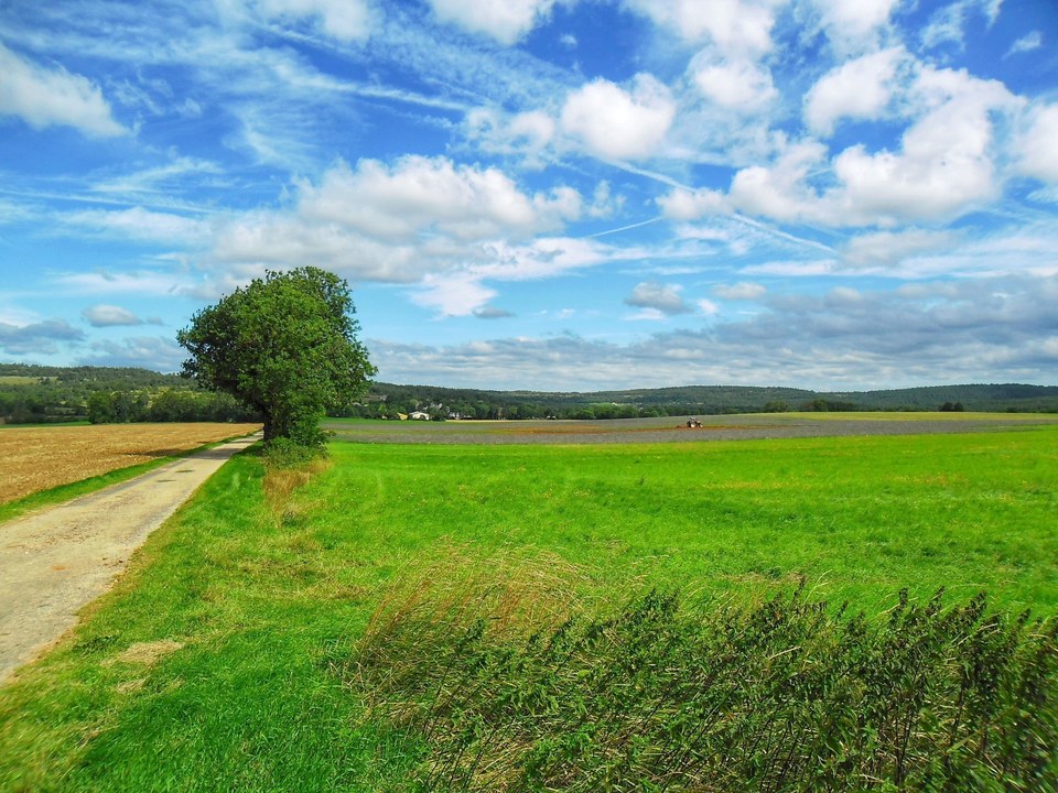 Sur le chemin, non loin des Liquisses...