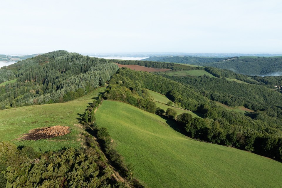 En direction du Suc d'Armont