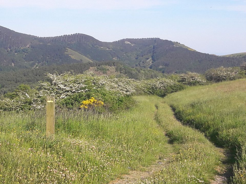 sentier mélagues