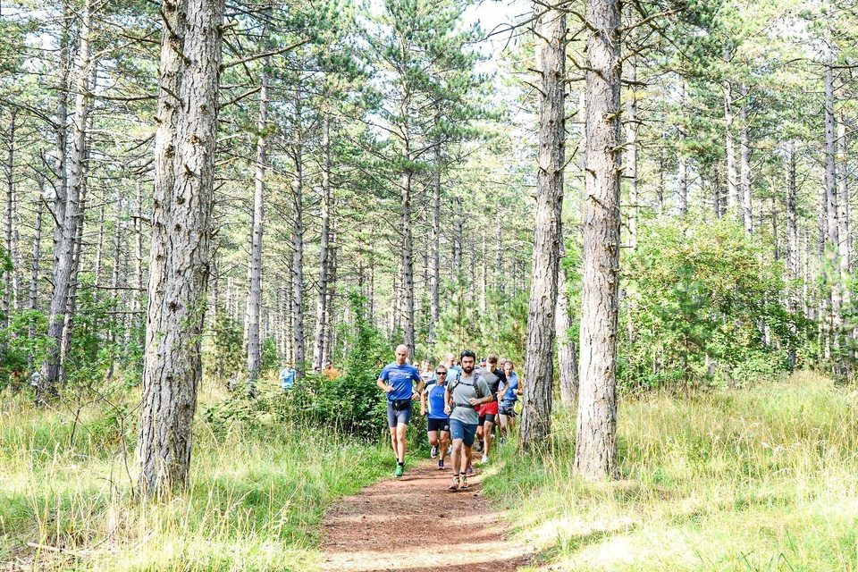 Trail N°01 - Millau / Le Monna