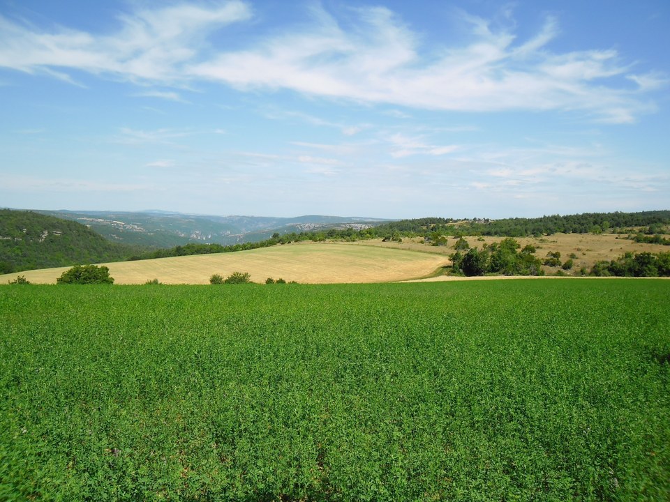 Le Causse bégon et les Gorges du Trévezel