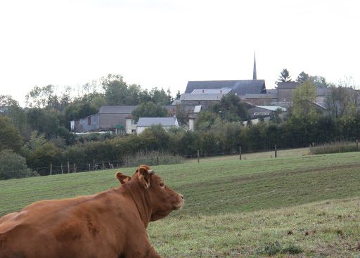 Campagne autour de Montfranc