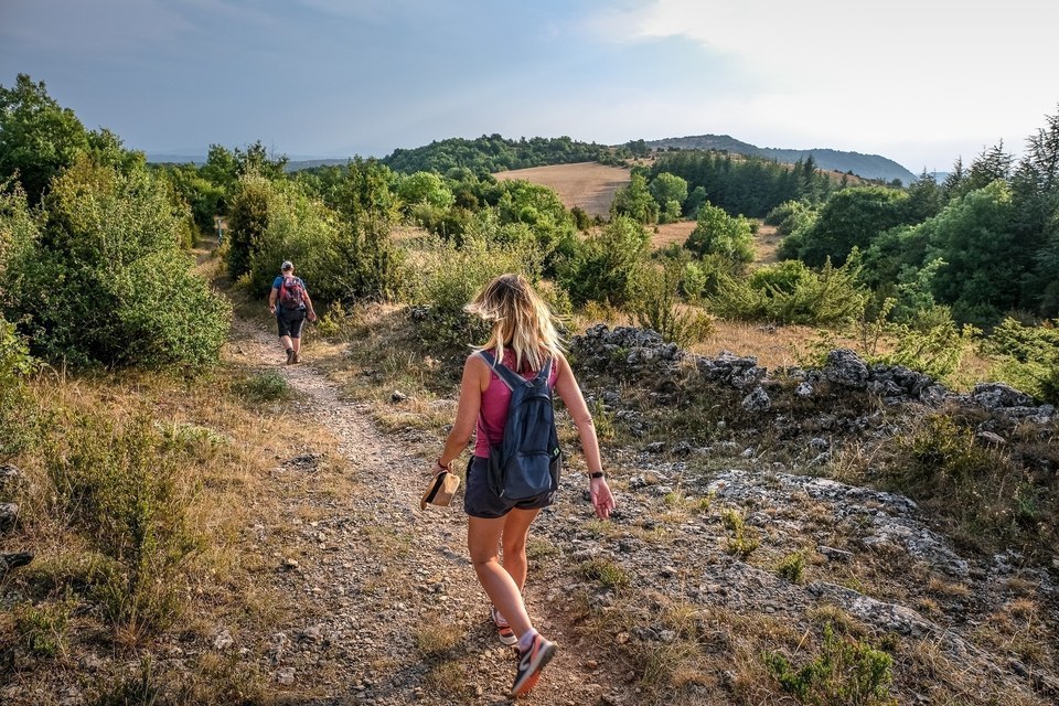 Le plateau du Guilhaumard