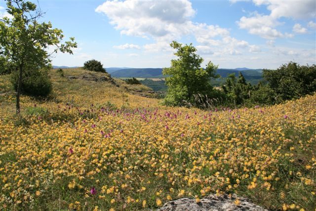 Le plateau du Guilhaumard