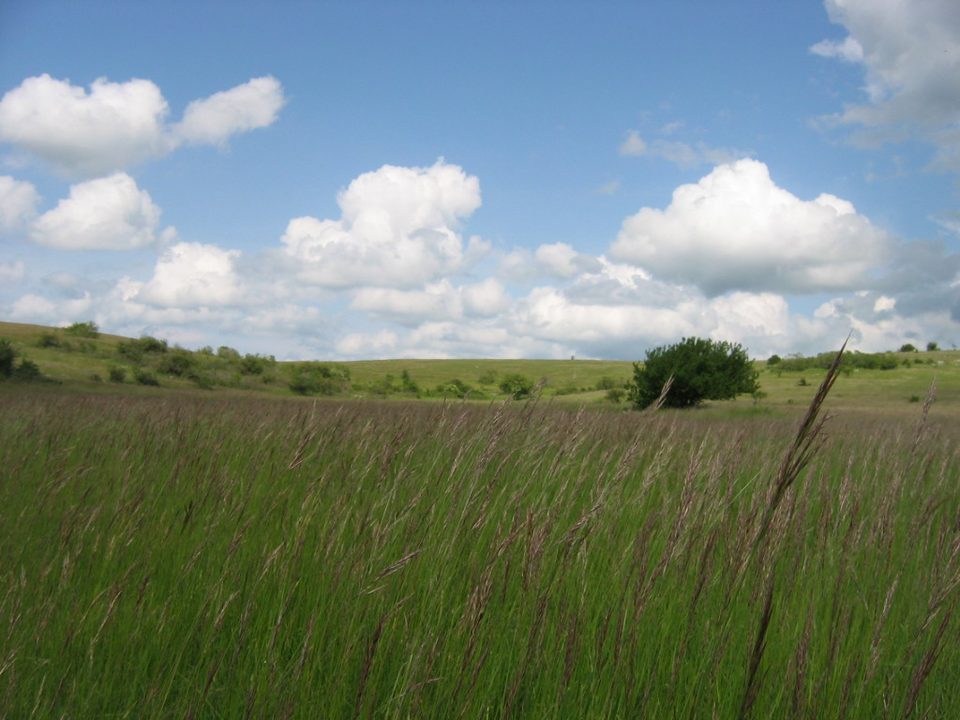 La devèze