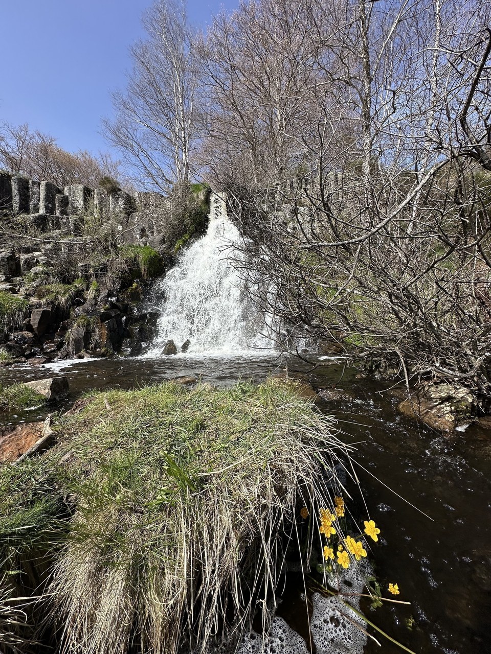 Cascade du Saltou.