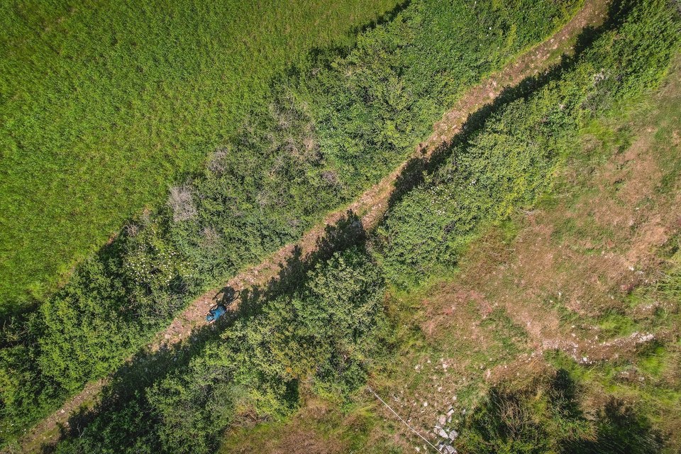VTT dans la buissière