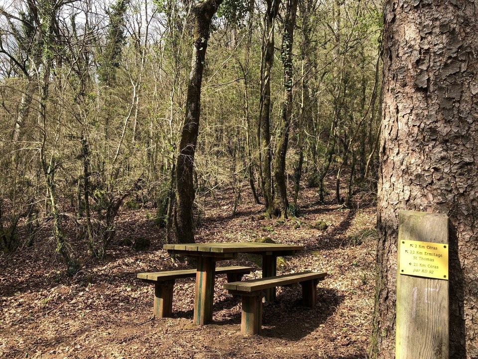 Table de pique-nique