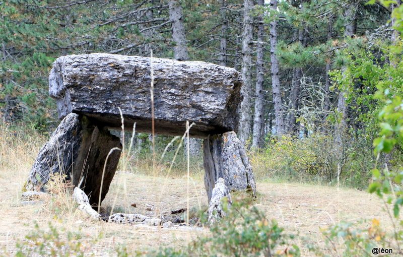 Un des nombreux dolmen sur le Causse