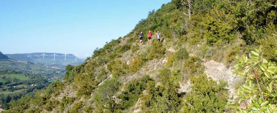 Sur les pentes de la Dourbie