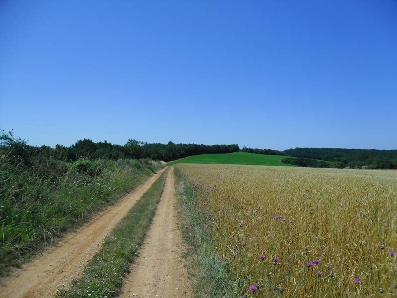 Le Causse Bégon