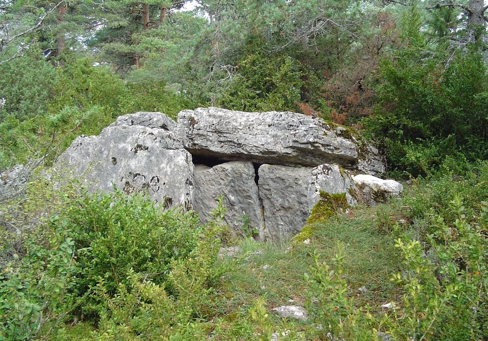 Dolmen du Chardonnet