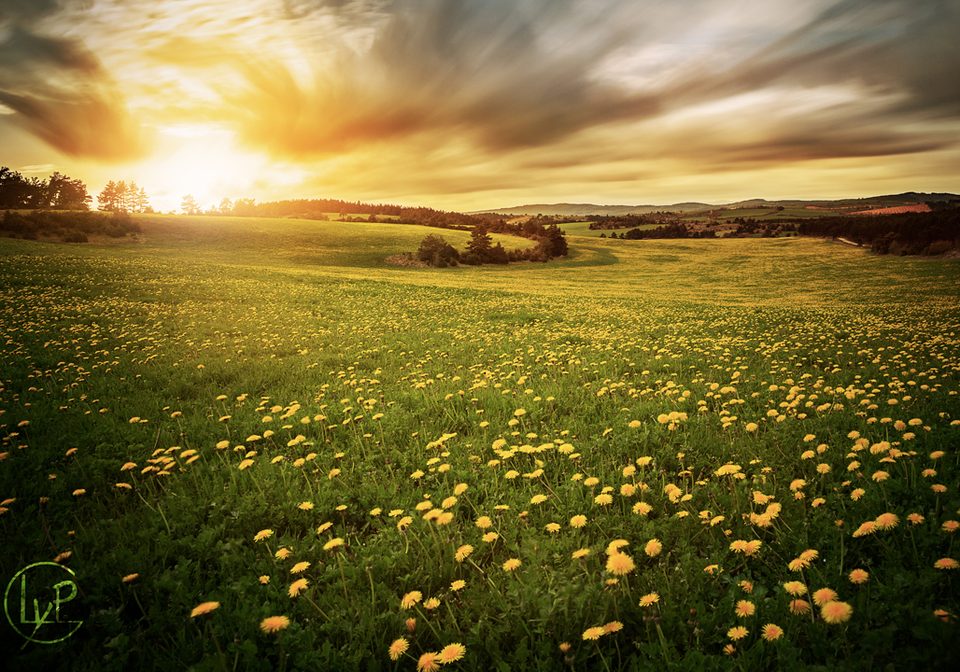 Coucher de soleil sur le sauveterre