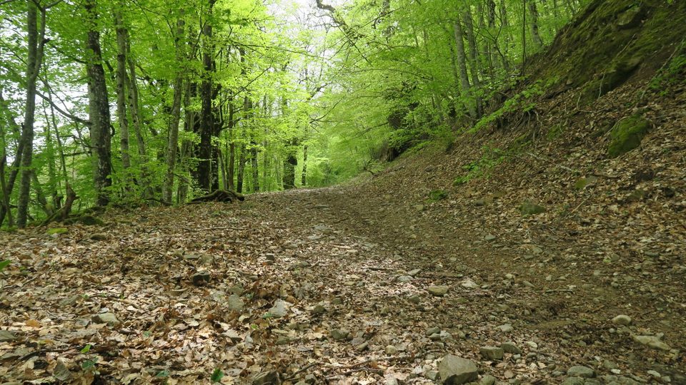 Le chemin creux ombragé après le Bruel