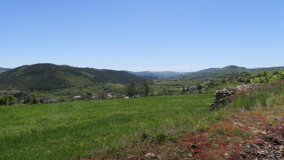 Le plateau de la Cham