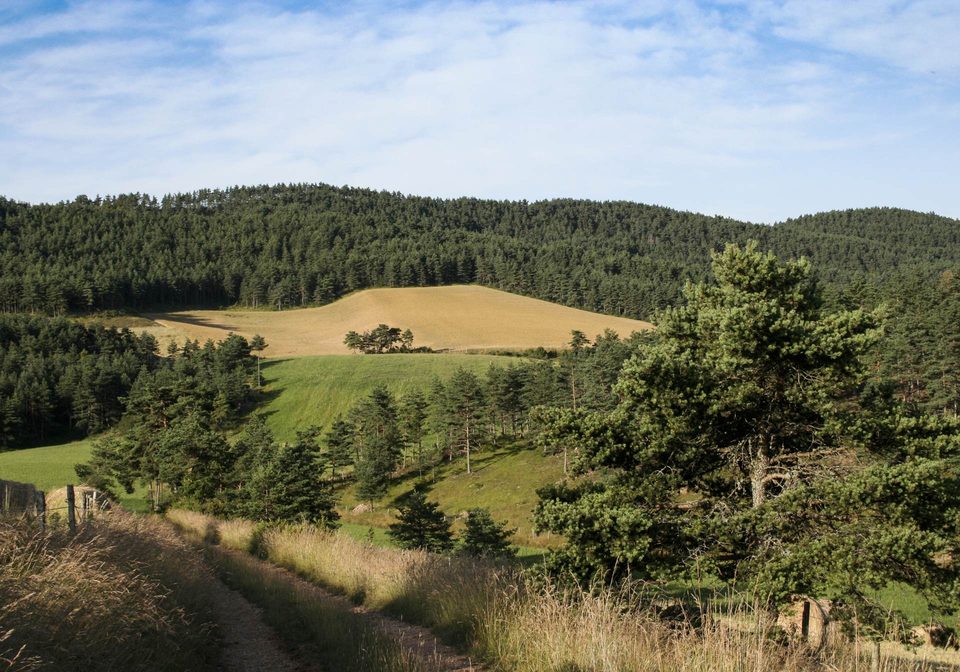 Le Mazelet - VTT n°1