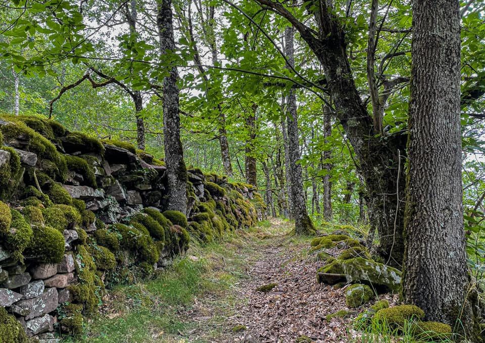 Sentier longeant les murets