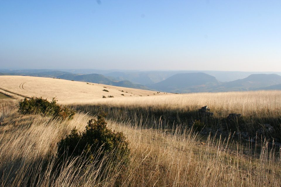 Gravel N°03 - Des Sources de l'Aveyron jusqu'au Causse