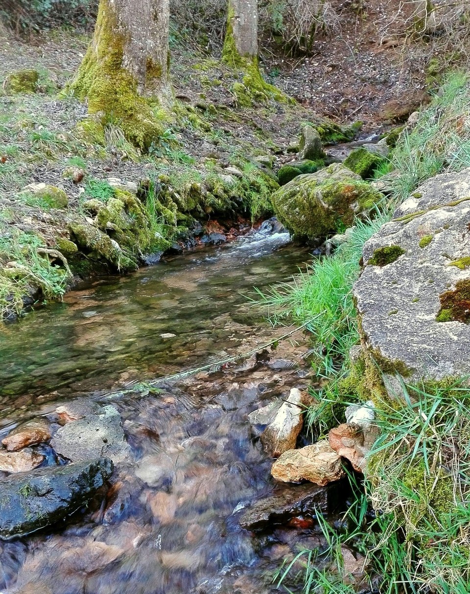 Les sources de l'Aveyron