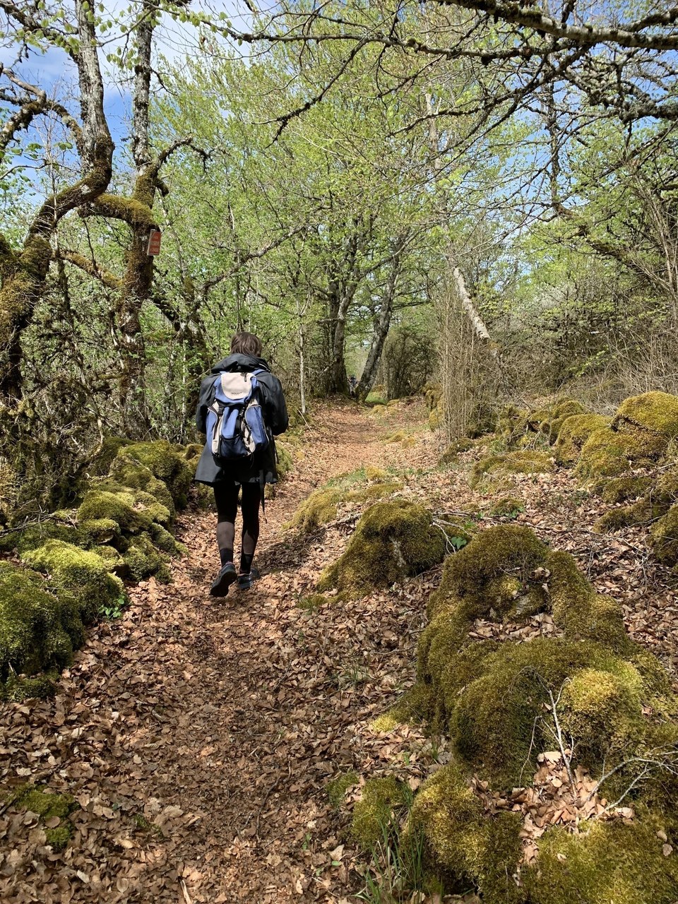 En chemin