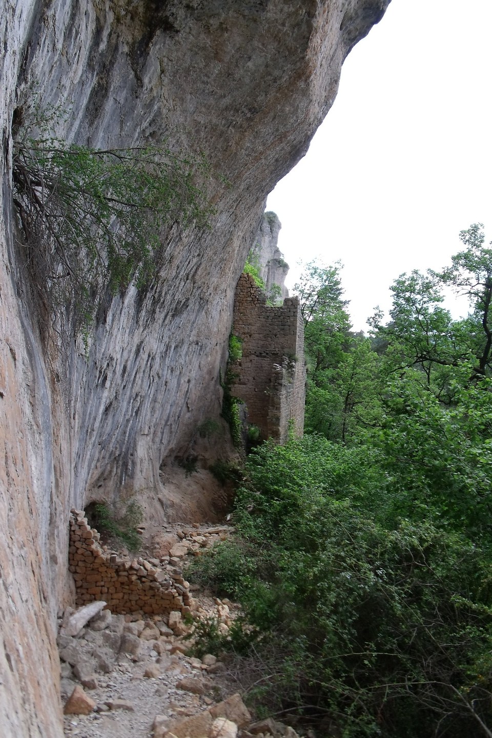 Entre corniches du Tarn et de la Jonte