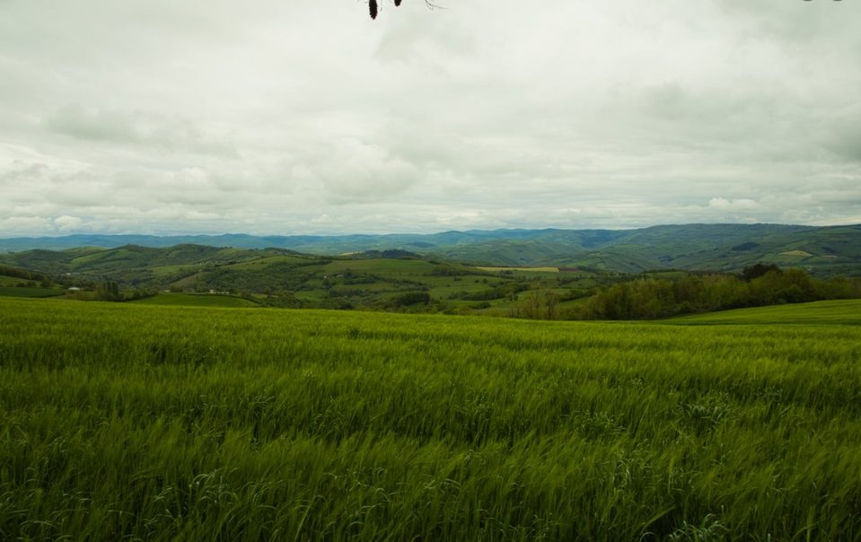 paysage des monts et vallons