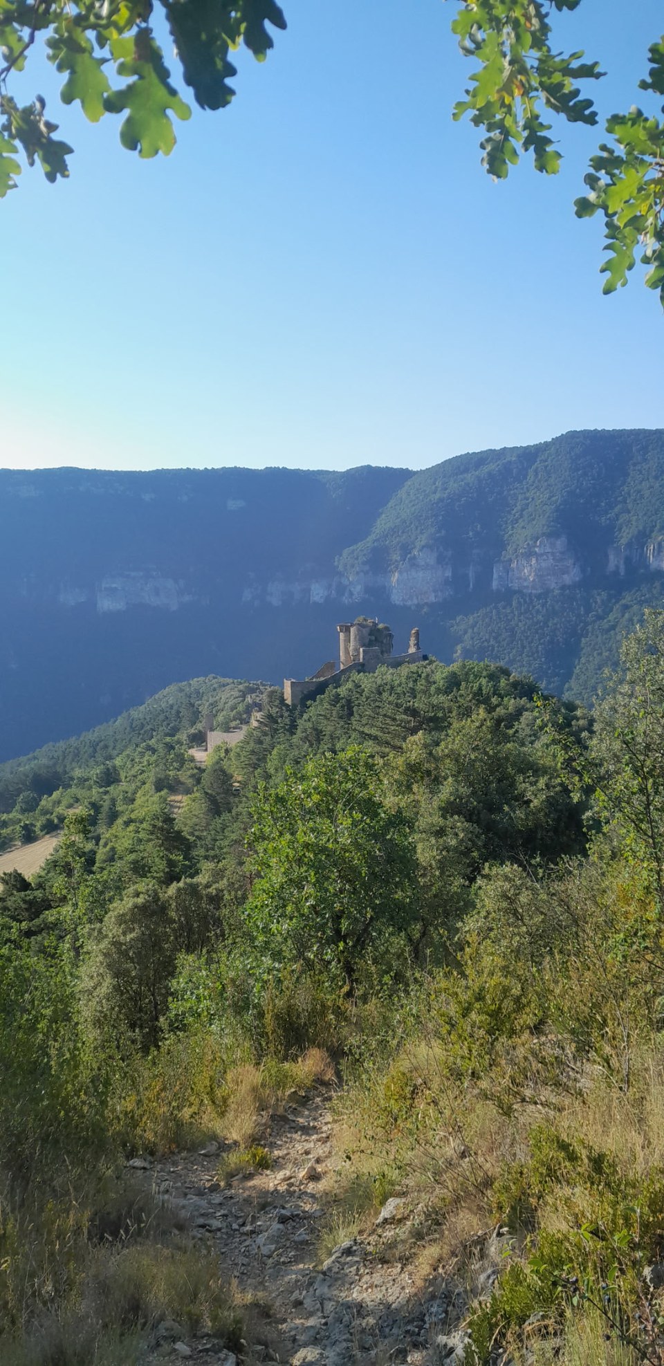 château Peyrelade